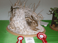 2010-lepus